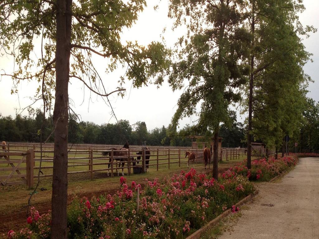 Agriturismo Il Boschetto Ornago Eksteriør bilde