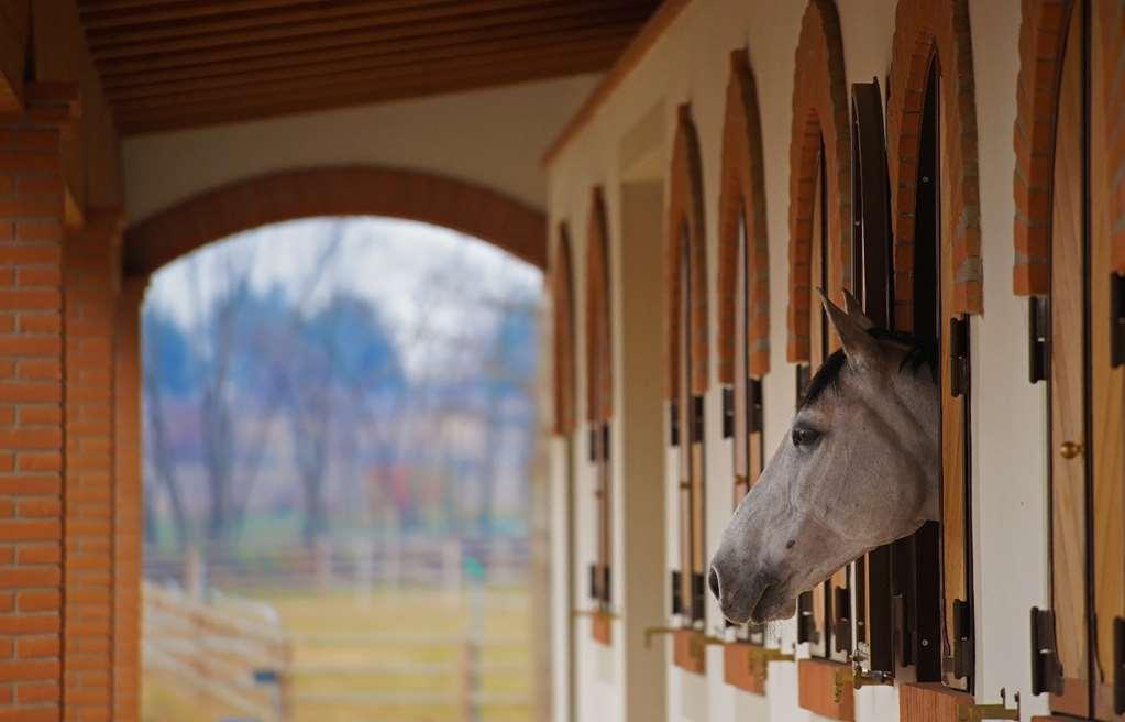 Agriturismo Il Boschetto Ornago Fasiliteter bilde